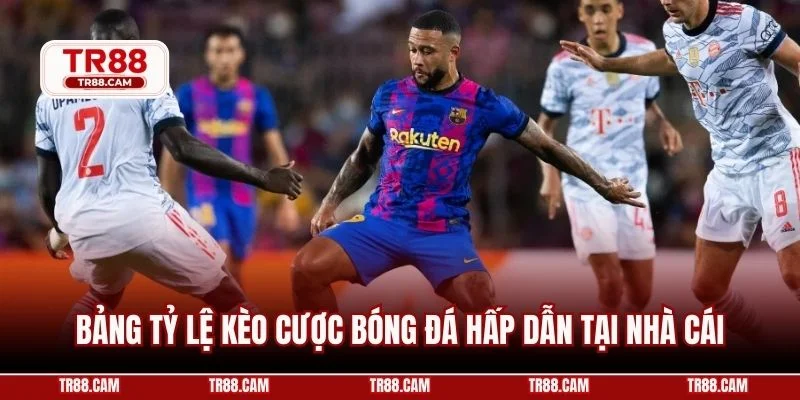 Bảng tỷ lệ kèo cược bóng đá hấp dẫn tại nhà cái